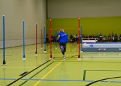 DSC 1545